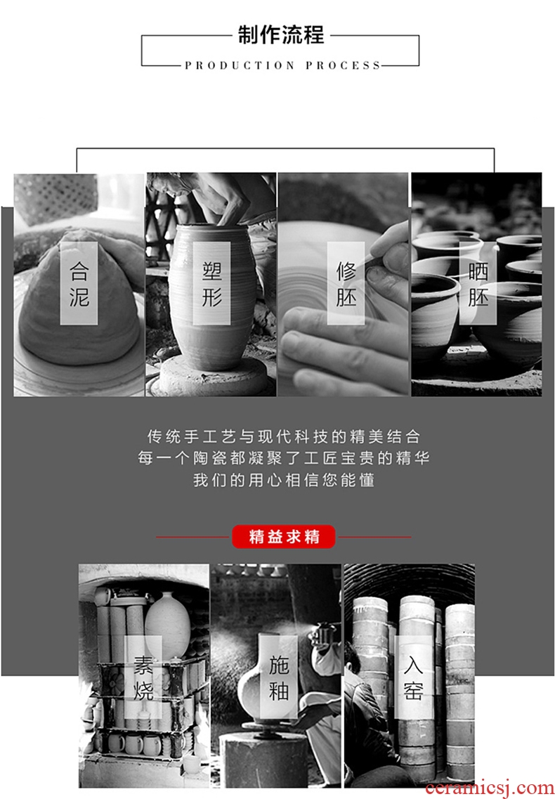 Jingdezhen ceramic vase landing large modern contracted household dry flower arranging flowers sitting room porch decoration furnishing articles - 597888230667