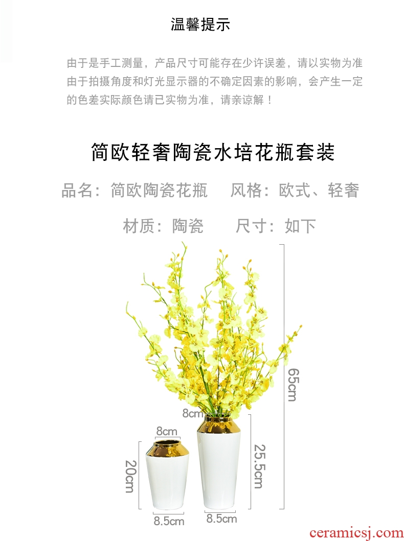 Murphy light modern luxury ceramic vase hydroponic furnishing articles in the creative living room table simulation flower art flower arranging