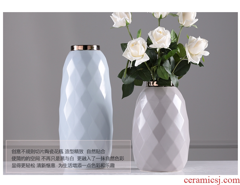 Light and decoration ceramics are dry soft adornment furnishing articles vase vase creative home sitting room sample room desktop decoration
