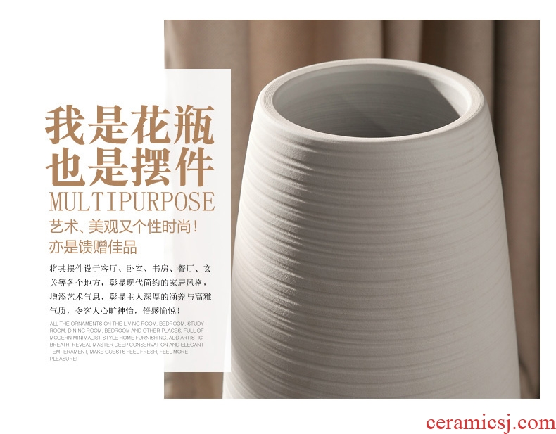 Postmodern new Chinese porcelain pot example room porch place nature science wearing small expressions using the big vase flowers, soft adornment - 566338693827