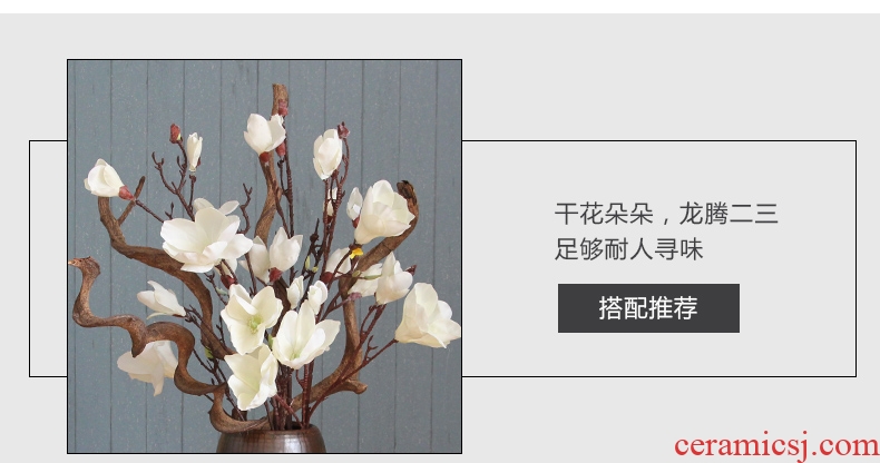 Jingdezhen ceramics big vase live TV ark, gourd landing place to live in the sitting room porch decoration - 549574016149