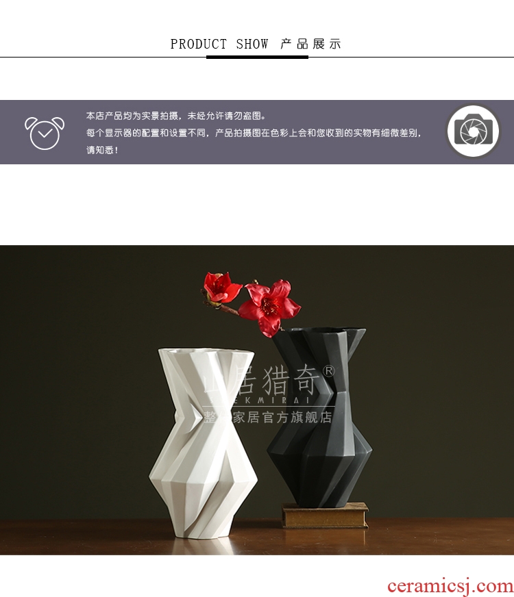 Modern living room between example art flower arranging furnishing articles Nordic geometric flower implement large ceramic vase - 575542169118 black and white pigment