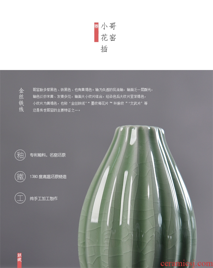 Hong bo acura creative home furnishing articles hydroponic flower implement hydroponic flower vase home decoration ceramic glass