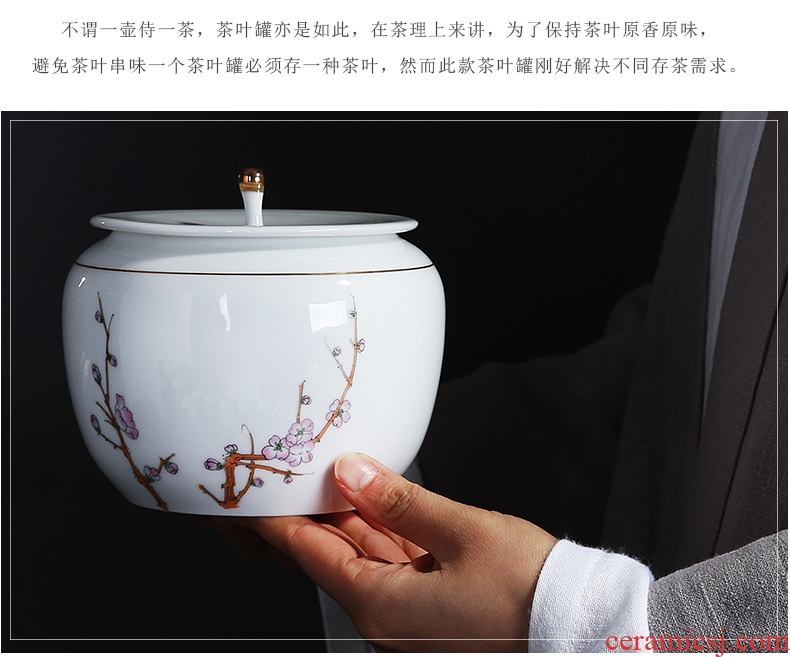 Auspicious edge in dehua white porcelain tea pot of ceramic jade porcelain, moistureproof household by patterns sijunzi storage POTS