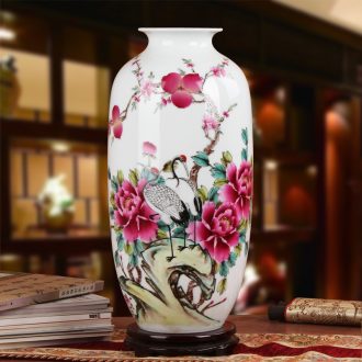 Famous Xia Guoan high - grade gift porcelain vase hand - made works of jingdezhen ceramics powder enamel wealth and longevity