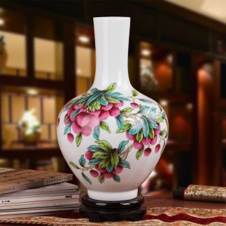 Famous works of hu, jingdezhen ceramics vase upscale gift porcelain hand - made pastel litchi tree