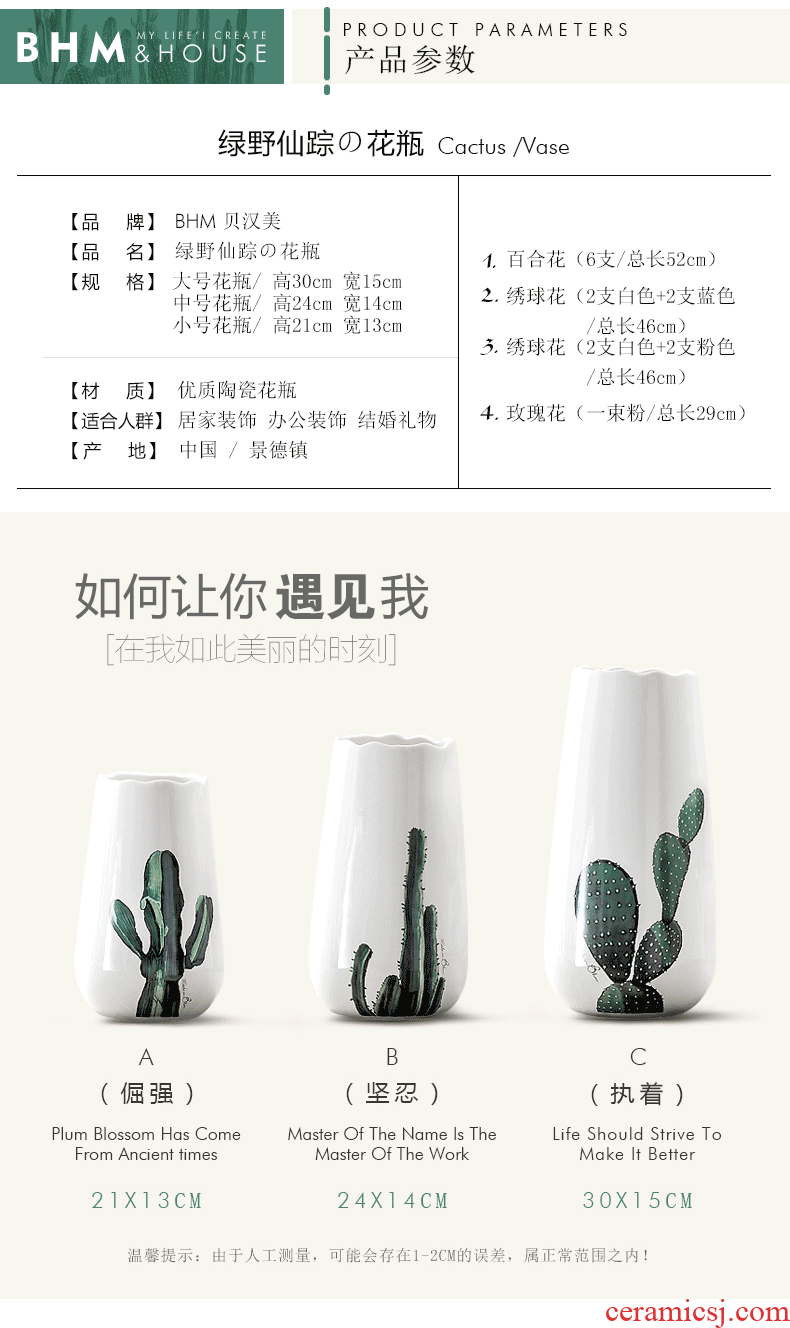 I and contracted place to live in the living room TV cabinet ceramic vase flower vase creative hydroponic small pure and fresh and vase