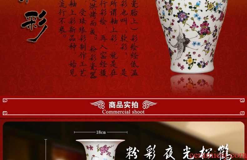 Jingdezhen ceramics powder enamel noctilucent pine crane, guanyin of large vases, modern Chinese style household crafts