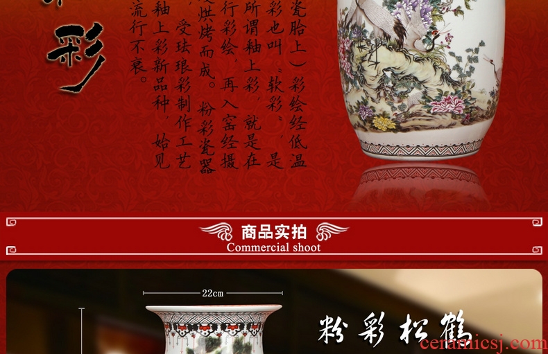 Jingdezhen ceramics powder enamel pine crane live idea gourd of large vases, modern Chinese style household crafts