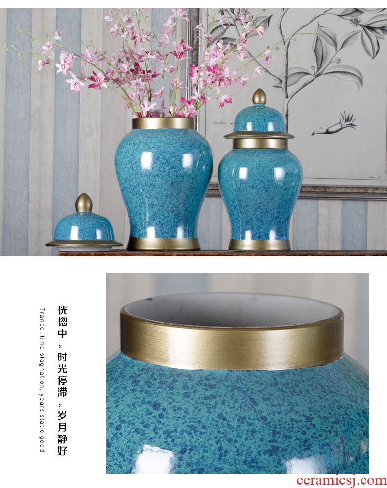 Jingdezhen ceramic vases, general tank temperature manual household decorates sitting room crafts paint flower arranging furnishing articles