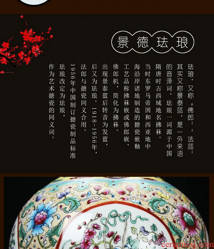 Jingdezhen porcelain vases, antique hand - made enamel pastel color open the world of flowers and birds all celestial vase furnishing articles