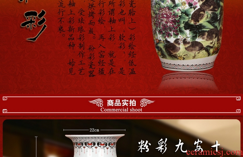 Jingdezhen ceramics powder enamel 9, 12 xi idea gourd of large vases, modern Chinese style household furnishing articles