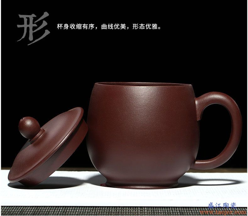 博耀宜兴紫砂杯泡茶杯陶瓷办公室茶具茶杯喝水大杯子带盖功夫茶杯