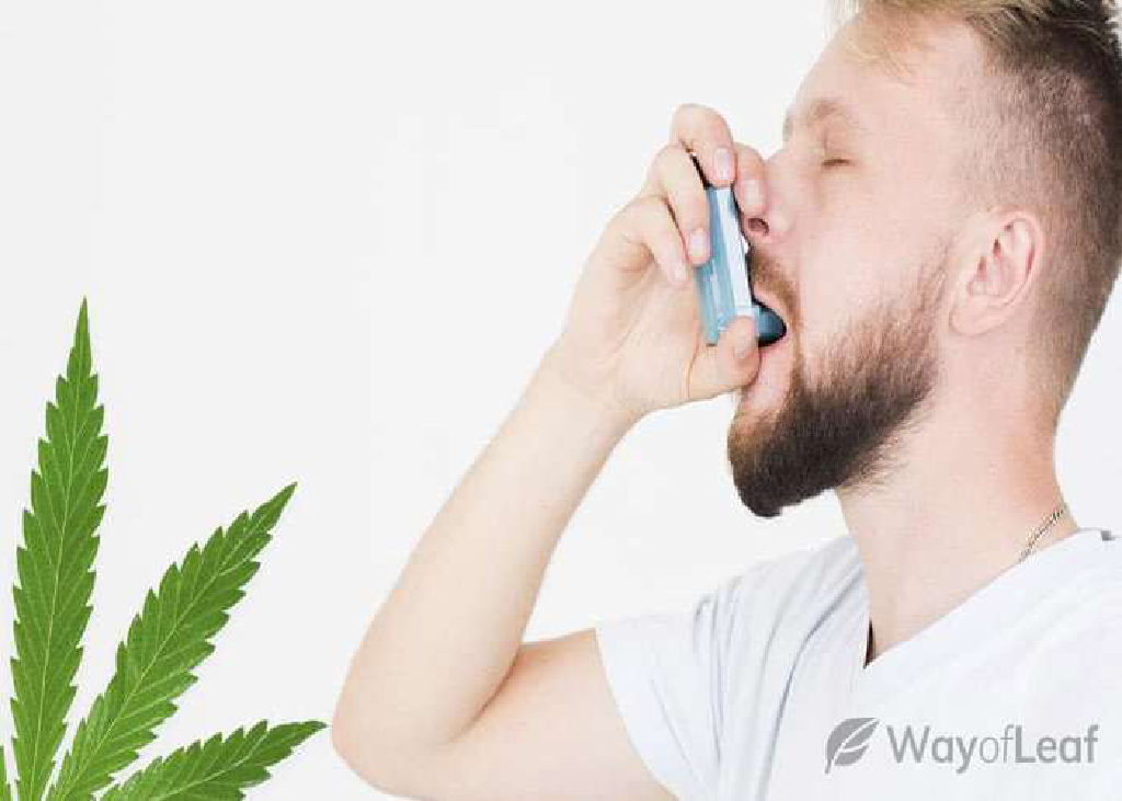 A Concise Guide to Cannabis Inhalers