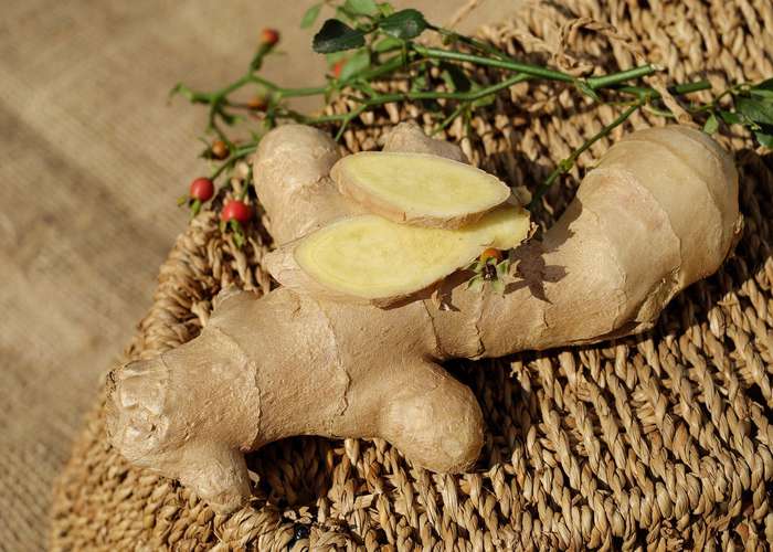 Ginger use, benefits, and precautions. It is loaded with antioxidants that prevent stress and DNA damage.