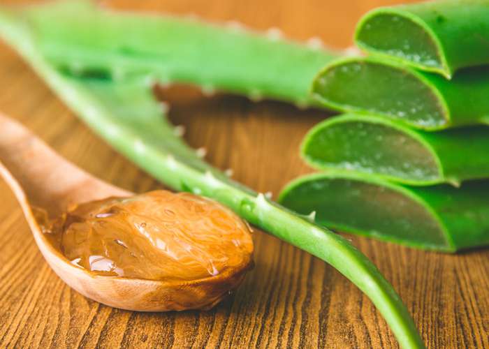 Aloe vera: uses, health benefits, and precautions.