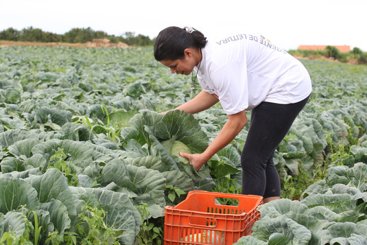 Agricultura Familiar Alimentacao Escolar