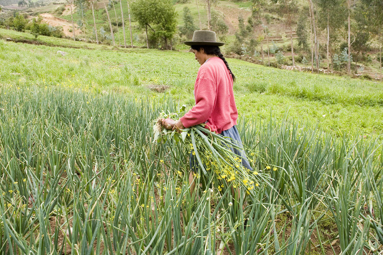 Peru – MARENASS – October 2006