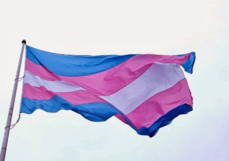 bandeira-trans