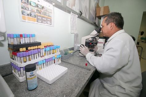 Estudo aponta enfermidade mielite a Zika acritica Aguilar Abecassos