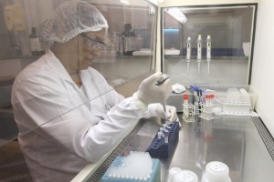 UFMG oferece teste com valor mais acessivel para detectar zika virus Hoje em dia foto Flavio Tavares
