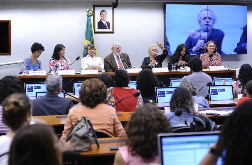 LBJR_Comissao-Direitos-Humanos-Minorias-debate-sobre-Cultura-do-Estupro_09062016006-850×557