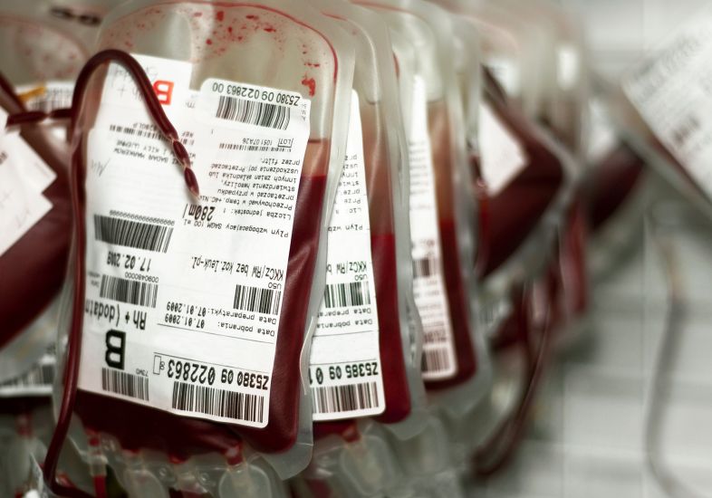 bolsas de sangue