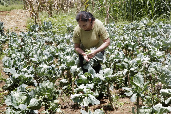 mulher_rural_producao_2