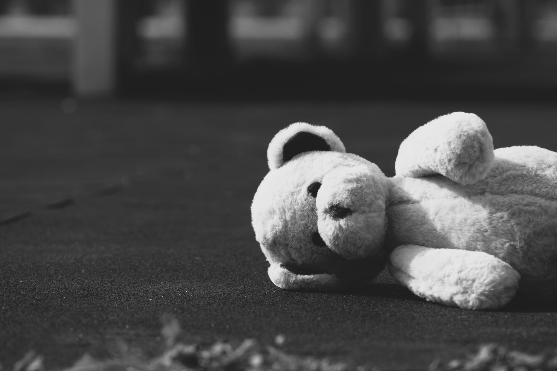 cute-teddy-bear-outdoors-still-life-fotomagnificfreepik
