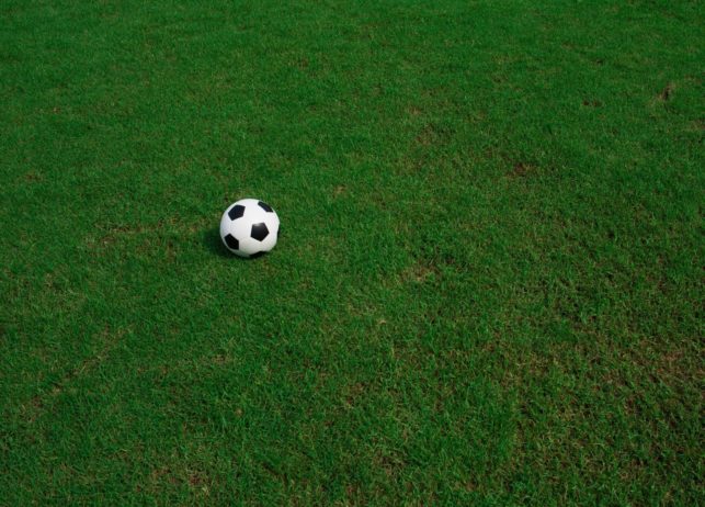soccer ball on grass with stadium background