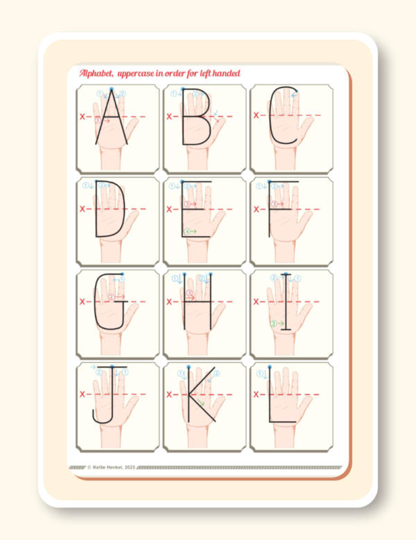 Alphabet in order with X-height Bundle - Image 4