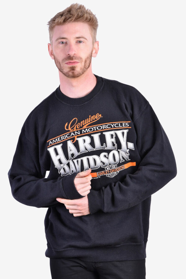 Vintage Harley Davidson sweatshirt