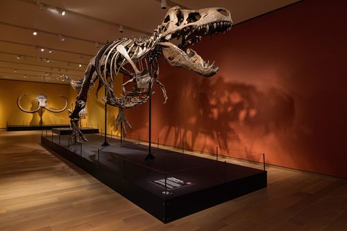 Six Extinctions T-Rex