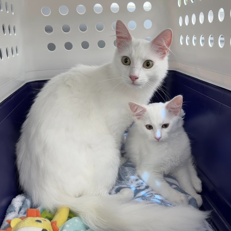 Tanrica and Marie