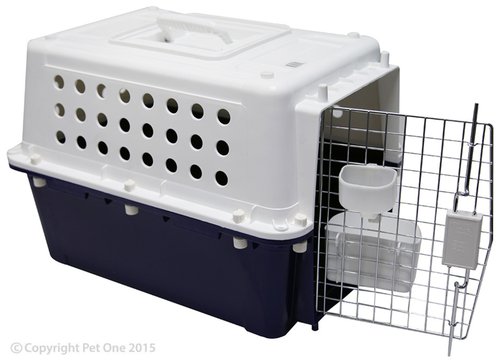 PP20