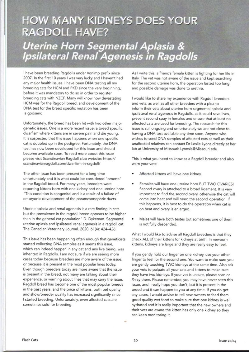 one kidney article page 0.jpg