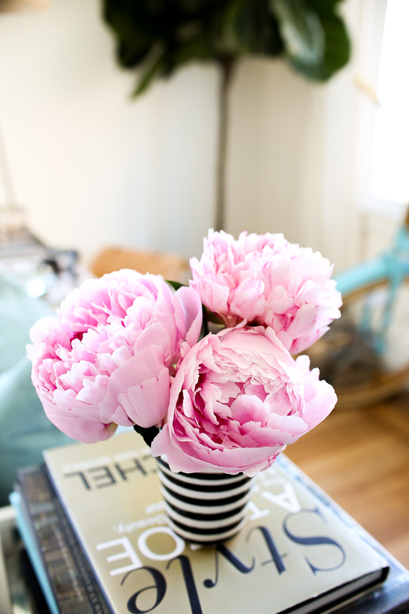 trader joes peonies