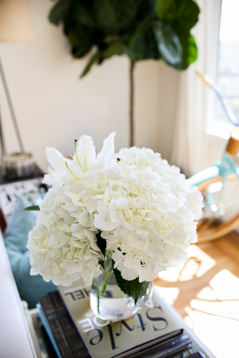 white hydrangeas