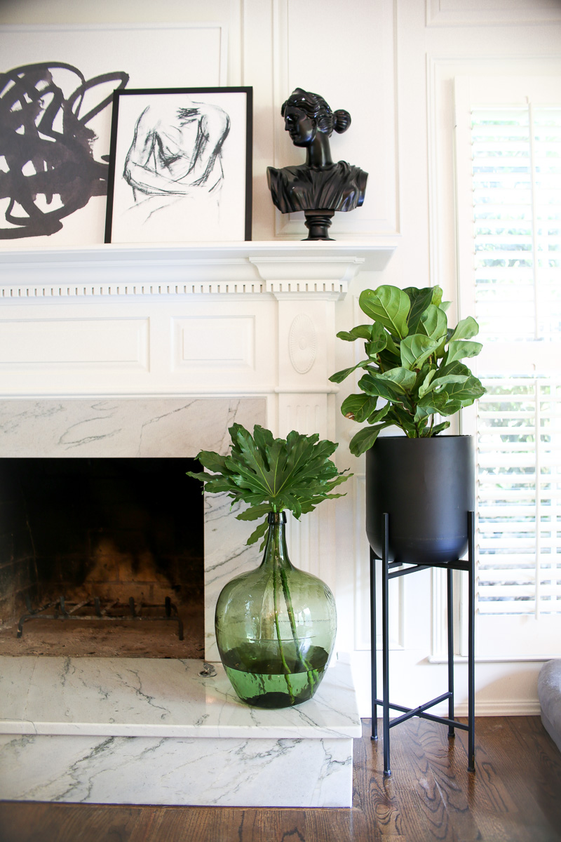 black plant stand