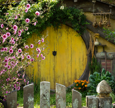 Go on Hobbiton Movie Set Tour from Lord of the Rings