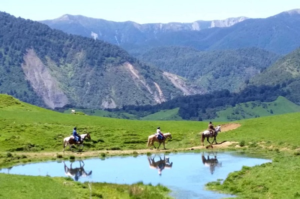 New Zealand Horseback Riding