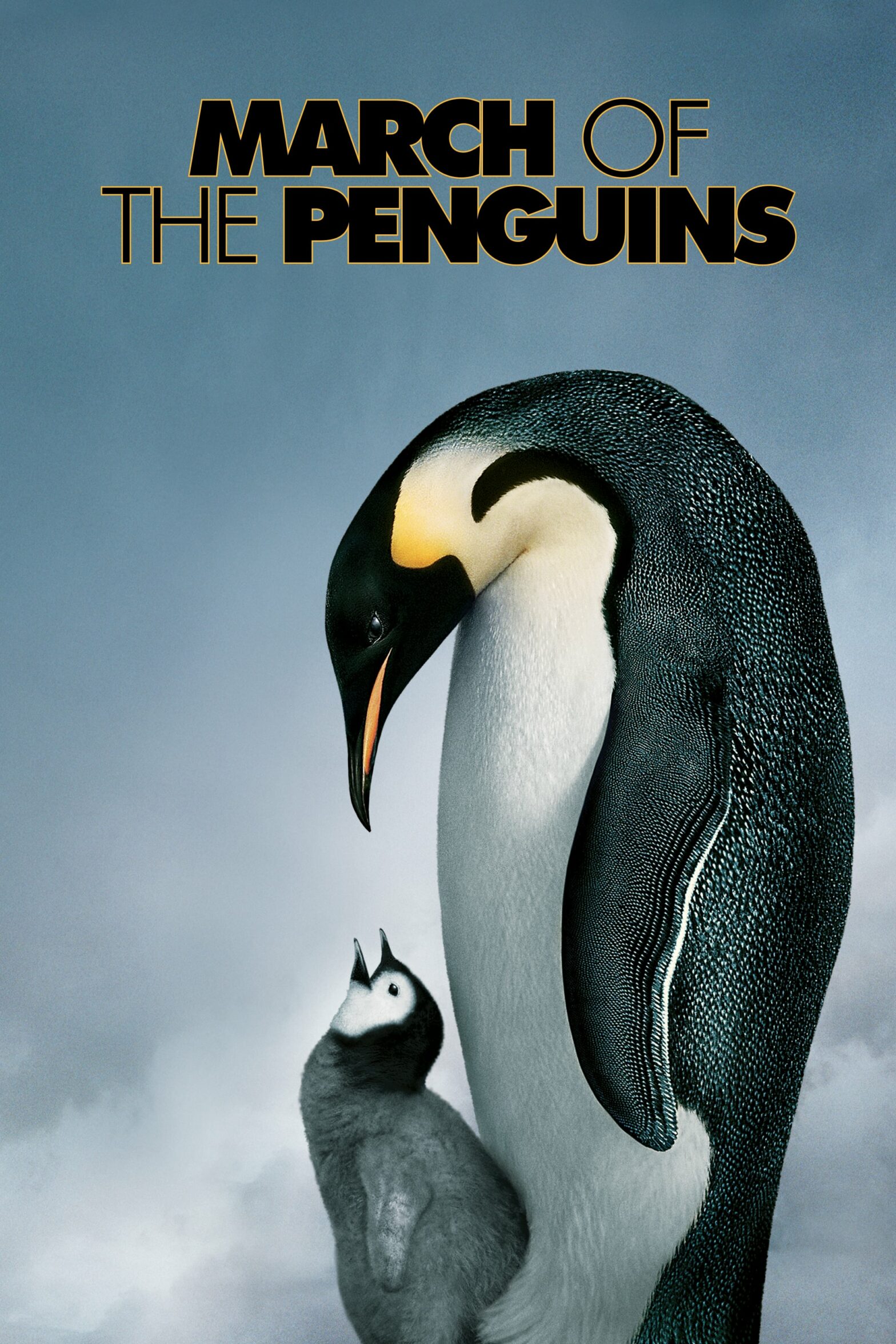 Poster for the movie "March of the Penguins"