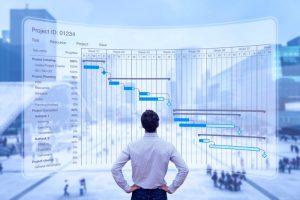 Program management professional working with Gantt chart planning schedule, tracking milestones and deliverables and updating tasks progress.