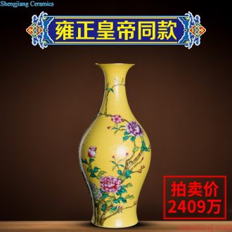 Better sealed kiln porcelain of jingdezhen ceramic vases, goddess of mercy bottle furnishing articles home sitting room porch antique small rich ancient frame