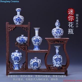 Jingdezhen porcelain vase Handmade porcelain celebrity famous large sitting room archaize handicraft furnishing articles