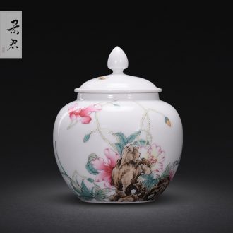 Jingdezhen manual colored enamel porcelain tea pot luck small household wake receives the POTS
