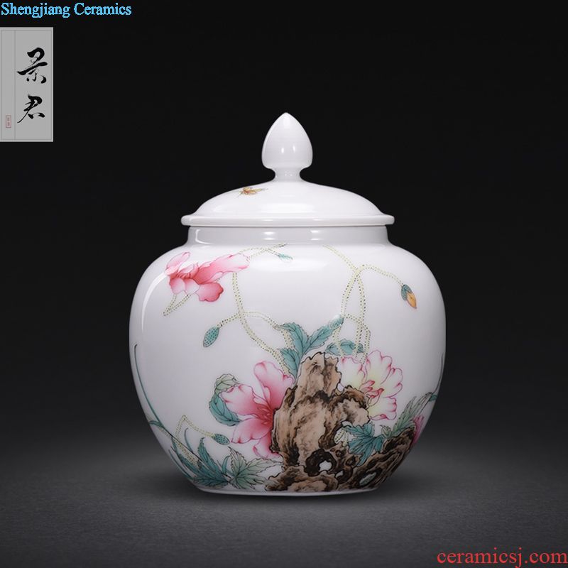 Jingdezhen manual colored enamel porcelain tea pot luck small household wake receives the POTS