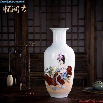 Huai embellish, jingdezhen painting vase painting freehand brushwork in traditional Chinese painting animals hou graph classic blue and white fashionable household place