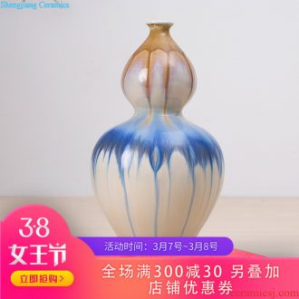 267 household decorates sitting room of large vase Jingdezhen ceramic creative European fashion simple decorations