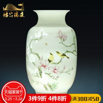 Jingdezhen ceramics vase large flower arranging furnishing articles lotus pond new classical Chinese style household adornment TV ark